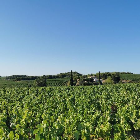 La Chambre Du Saunei Castelnau-de-Guers エクステリア 写真