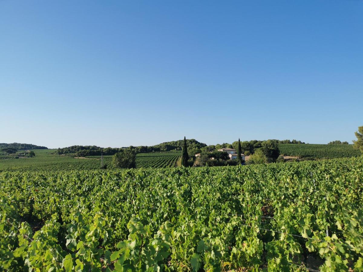 La Chambre Du Saunei Castelnau-de-Guers エクステリア 写真
